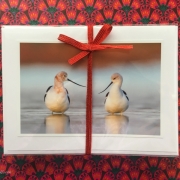 Love Birds, a selection of paired birds, set of 12