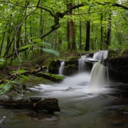 Hotchiss-Woods-Falls-2454