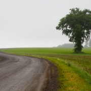 Winchell-Mountain,-NY-IMG_4456