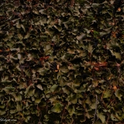 Rock-Trip-Stissing-Mountain-2377