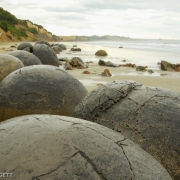Moeraki Boulders NZ 4925